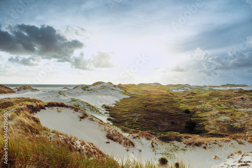Panoramic view on coastal sand dunes with green vegetation. Sunny summer day before sunset.