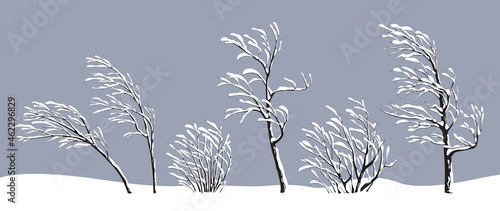 Set of Snow Covered Trees and Bushes