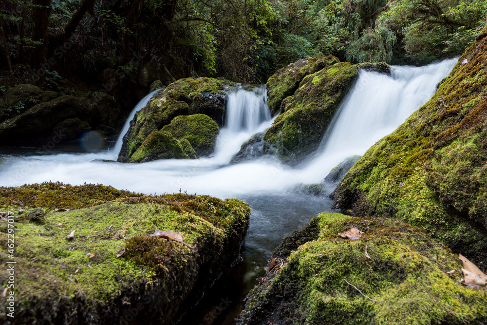 Obraz premium The Riuwaka Resurgence in Kahurangi National Park, New Zealand
