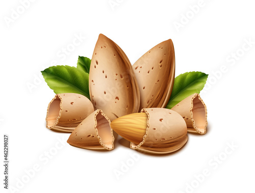 3d realistic vector icon.  Isolated on white background. Almond nut shell and nut with leaves.
