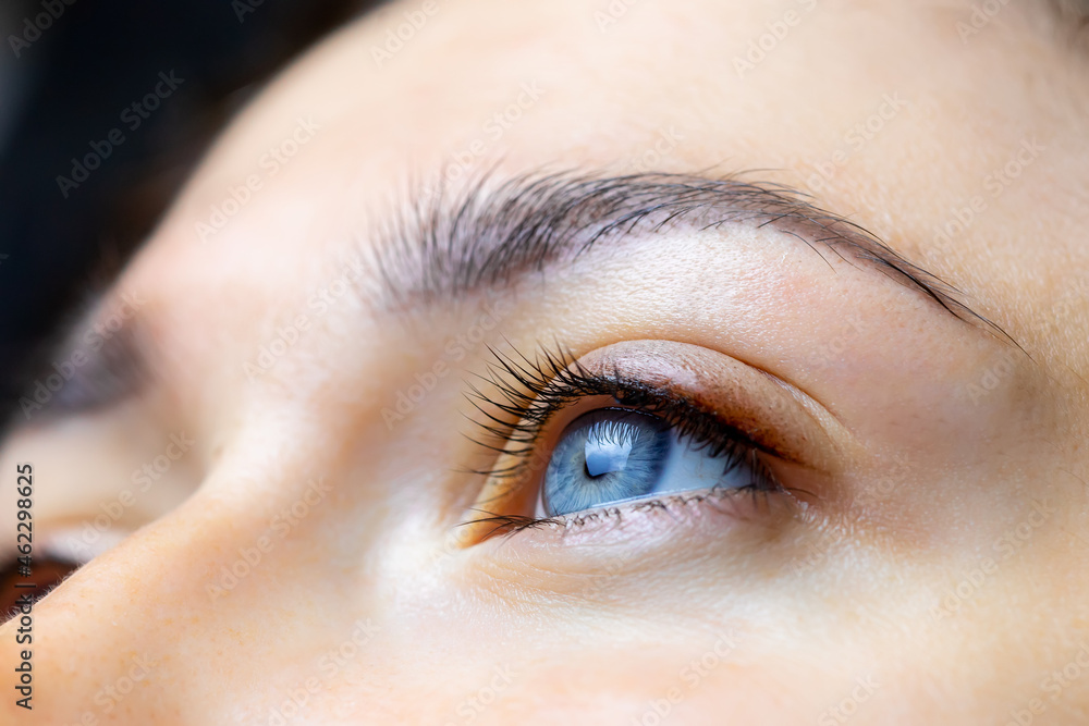 close-up of the finished work of permanent makeup of eyelashes and eyelid close-up of the finished work of permanent makeup of eyelashes and eyelid