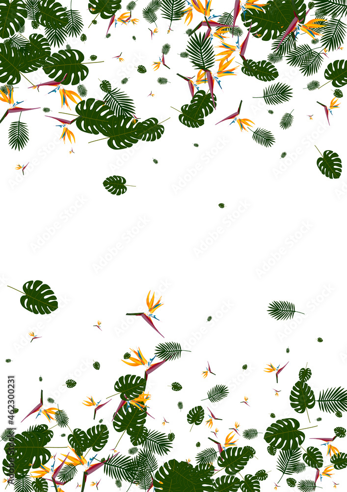 Orange Philodendron Background White Vector. Flora Decoration Pattern. Light Green Hibiscus. Safari Card. Pink Style Illustration.