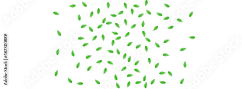 Light Green Leaf Background White Vector. Vegetation Herbarium Texture. Fresh Card. Green Silhouette Design. Foliage Delicate.