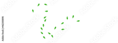 Greenish Leaf Background White Vector. Greenery Decoration Frame. Set Texture. Green Vitality Design. Leaves Woods.