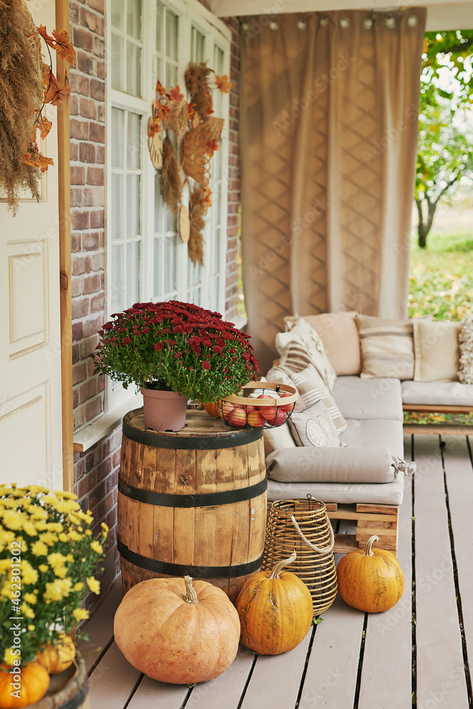 Autumn harvest terrace background. Halloween. Country. Pumpkins and flowers. Vacation home. Thanksgiving Day
