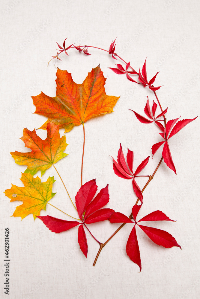 Autumn still life with three maple leaves and a twig of wild vine leaves on a woven, ecru background with space for copy text. Autumn still life with three maple leaves and a twig of wild vine leaves on a woven, ecru background with space for copy text.