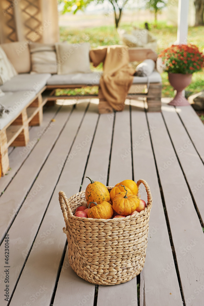 custom made wallpaper toronto digitalAutumn harvest terrace background. Halloween. Country. Pumpkins and flowers. Vacation home. Thanksgiving Day