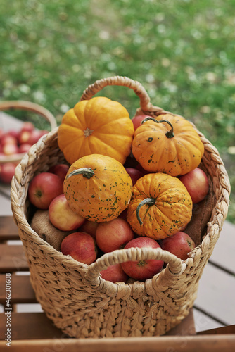 Autumn harvest terrace background. Halloween. Country. Pumpkins and flowers. Vacation home. Thanksgiving Day
