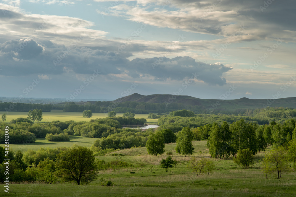 Hilly landscape with rare trees in a dramatic sky.