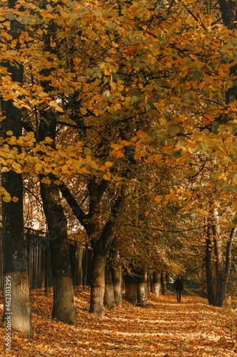 Autumn in Russia