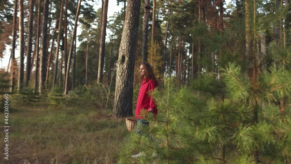 A girl collects mushrooms in a beautiful forest A girl collects mushrooms in a beautiful forest