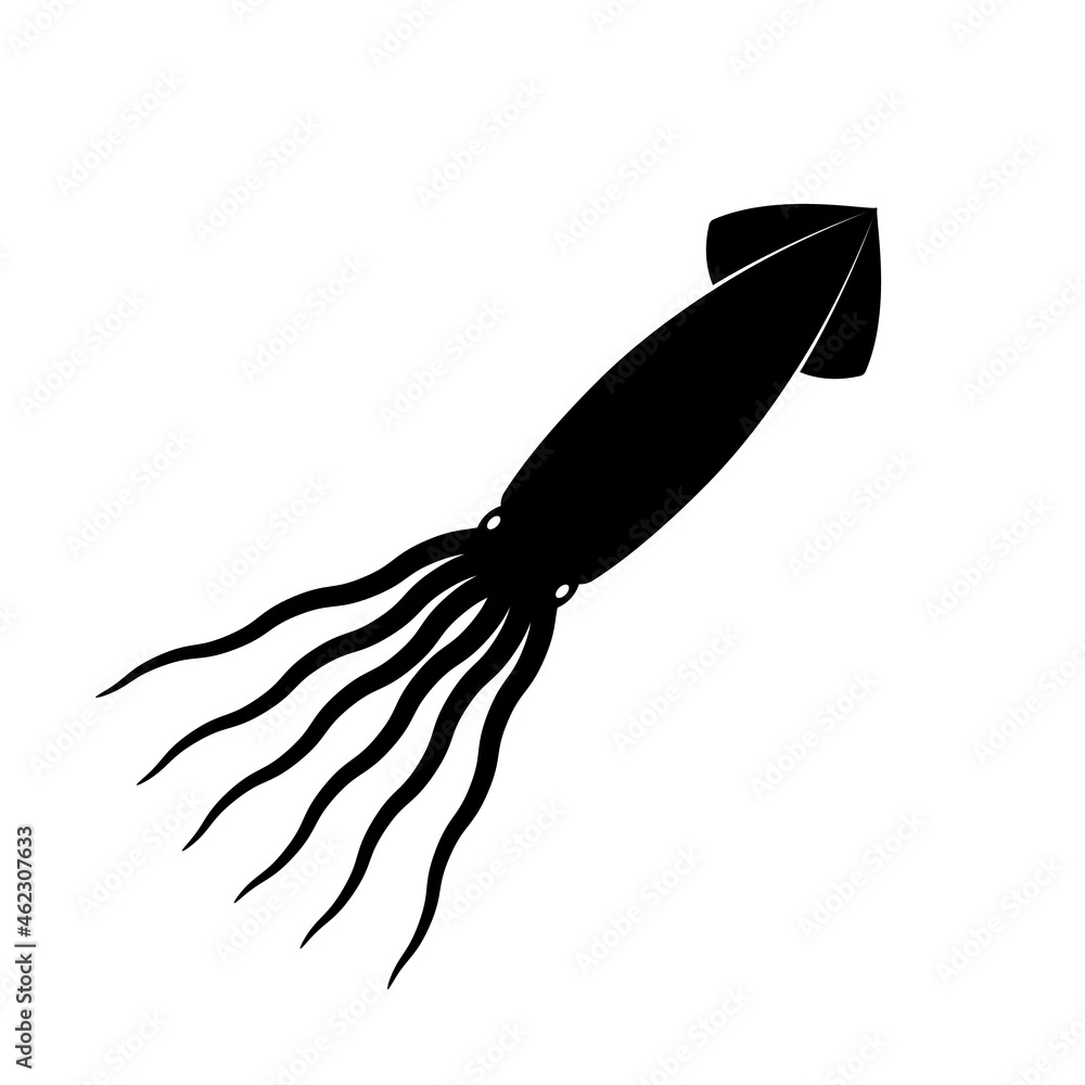 Obraz premium squid vector illustration black icon