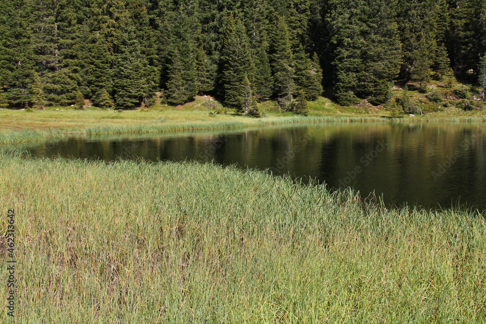 Fototapeta premium il Lago Cece; Catena del Lagorai, Trentino