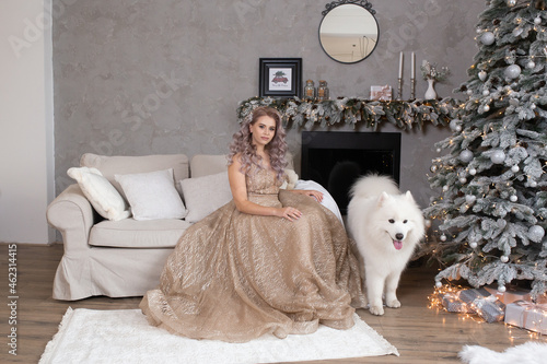Fototapeta Naklejka Na Ścianę i Meble -  beautiful woman with dog samoyed is sitting in sofa near christmas tree, new year