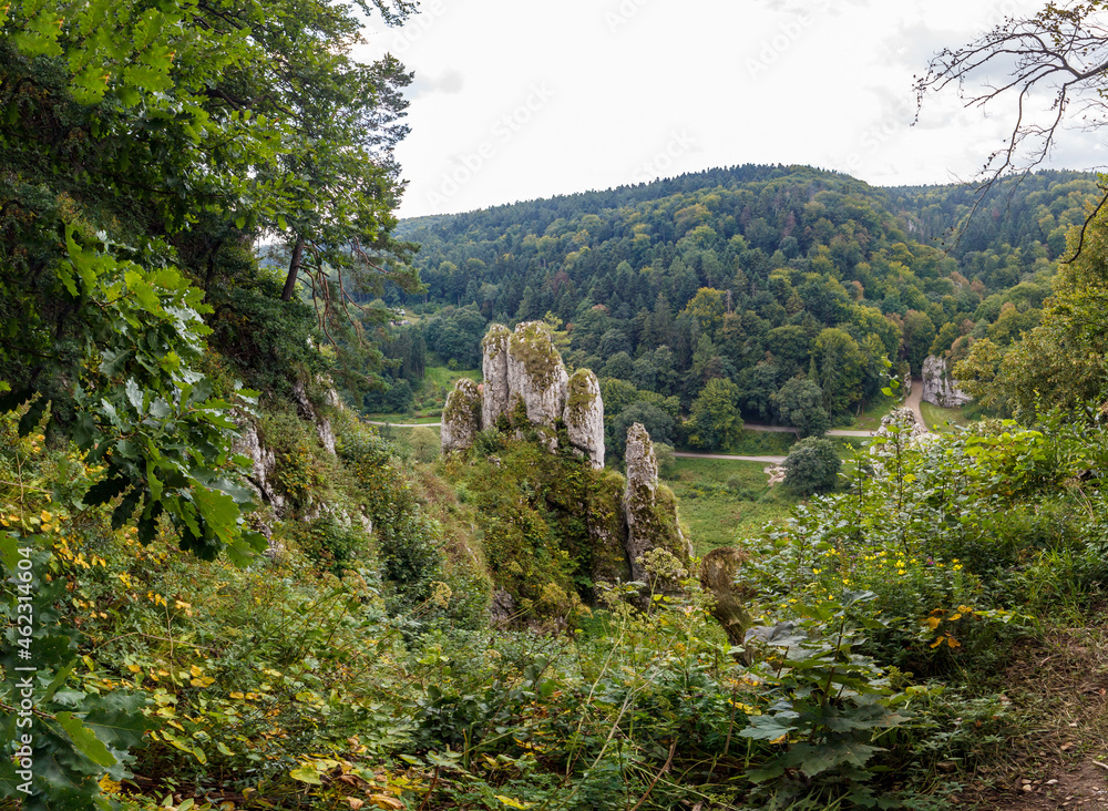 Obraz premium The glove rock formation in Ojcow