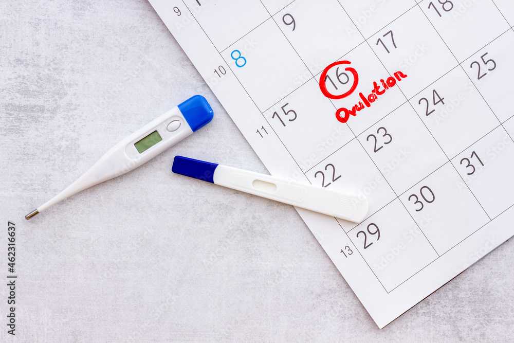 Ovulation home test and thermometer on calendar with red mark Ovulation home test and thermometer on calendar with red mark