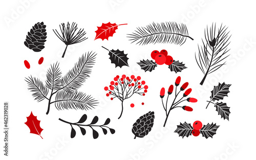 Christmas vector plants, holly winter decor, christmas tree, pine, leaves branches, holiday set isolated on white background. Red and black colors. Vintage nature illustration