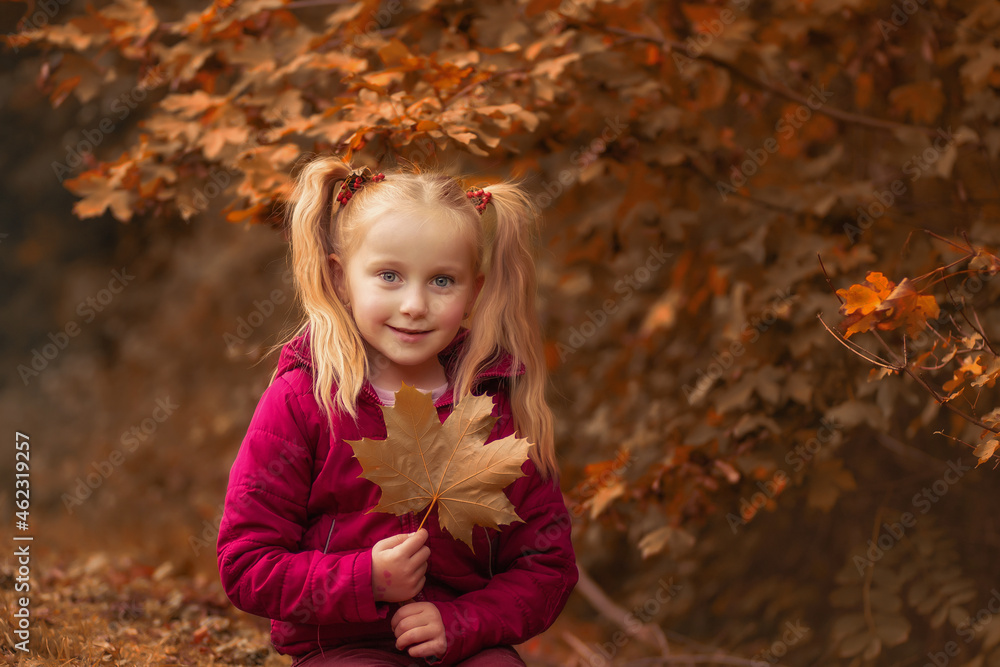 Fototapeta premium autumn portrait of a girl. selective focus