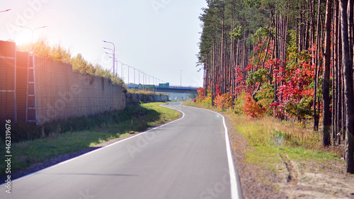 Beautiful landscape with road in autumn forest.