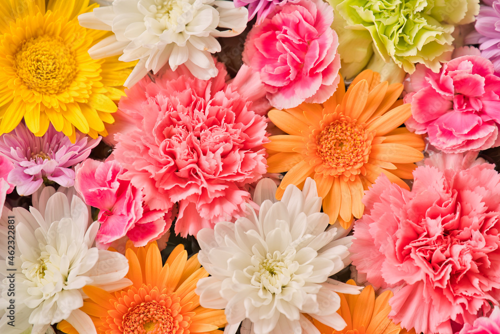 花手水 花 Flower 生花 フラワー 青 ブルー 赤 レッド ピンク 鮮やか 繊細 背景 壁画 待ち受け 素材 自然 ネイチャー 神社 お寺 薔薇 コスモス バラ 花束 フローラル とぶ 美しい 全盛期 白 美しさ 植える まとまる