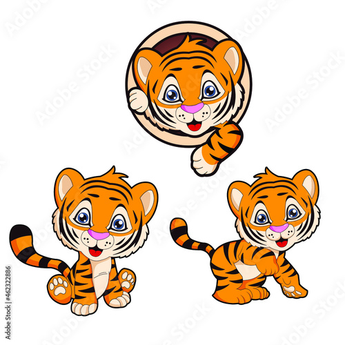 Fototapeta Naklejka Na Ścianę i Meble -  cute tiger mascot