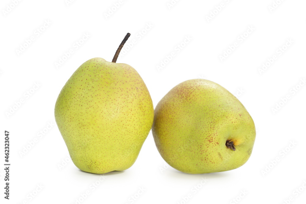 fruit of pear isolated on white background. fruit of pear isolated on white background.