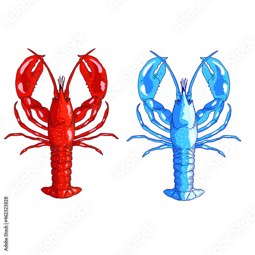 seafood vector