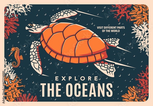 Sea turtle retro vector poster, oceanarium or ocean coral reef and undersea life. Sea world or underwater marine life tours and diving excursions, marine adventure with seahorses and turtles