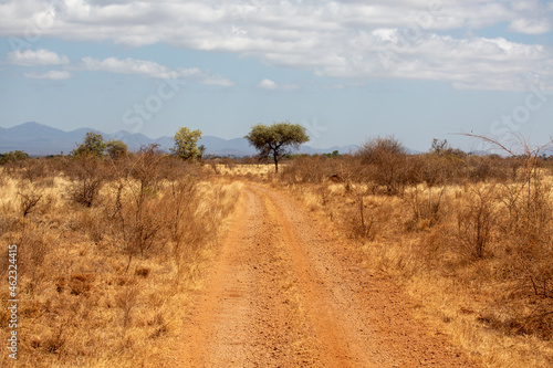 Droga na sawannie w Afryce