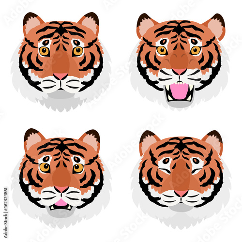 tiger heads bundle