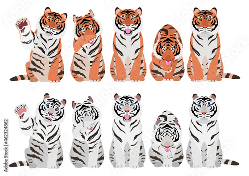 tigers in various poses in a row set