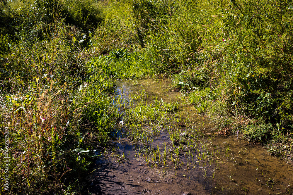 Fototapeta premium A Little Bit of Water