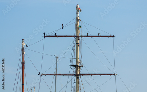 cormorants on sailboat mast sunbathing in a marina on the Spanish port