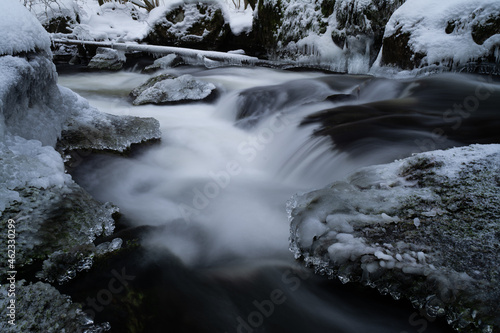 smooth motion of wild water in a river in winter with snow and ice on rocks and stones in the beautiful nature of a forest