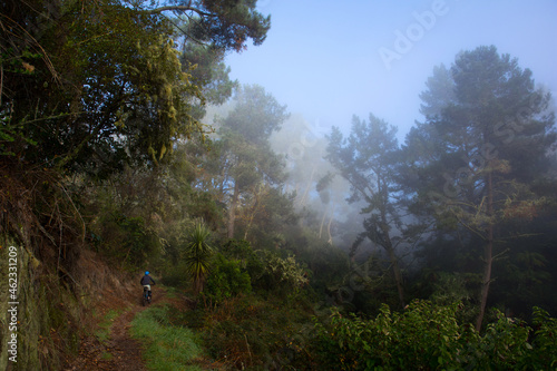 Mountain Biker on the Waikato River Trails north island new zealand