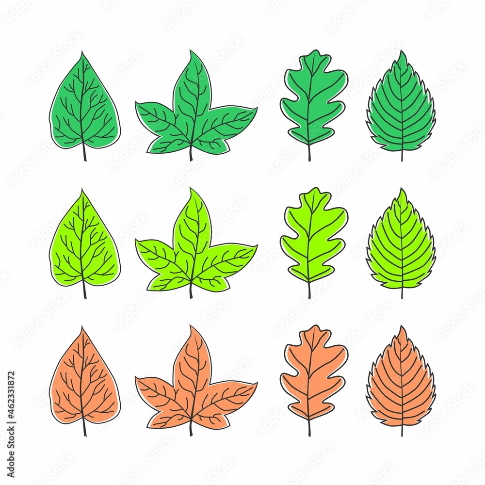 Fototapeta premium types of leaves image graphic icon logo design abstract concept vector stock. Can be used as a symbol related to the nature or plant