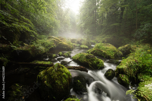 smooth motion of wild water in a river in summer with rocks and stones in the beautiful nature of a forest - triebtal