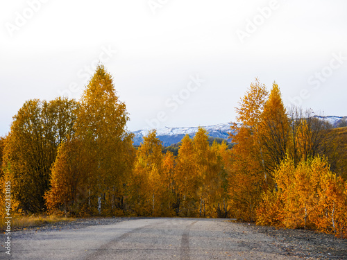 mountain road in autumn forest  mountain landscape  snowy mountains  tourist destination