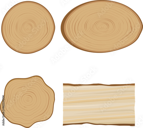 Vector illustration of a cross section of a tree. Frame material for design.