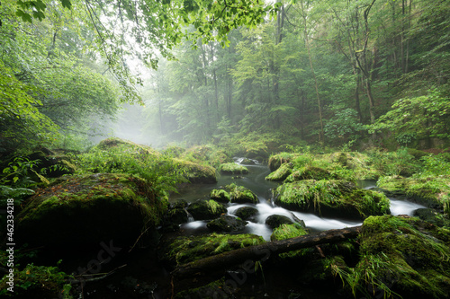 smooth motion of wild water in a river in summer with rocks and stones in the beautiful nature of a forest - triebtal