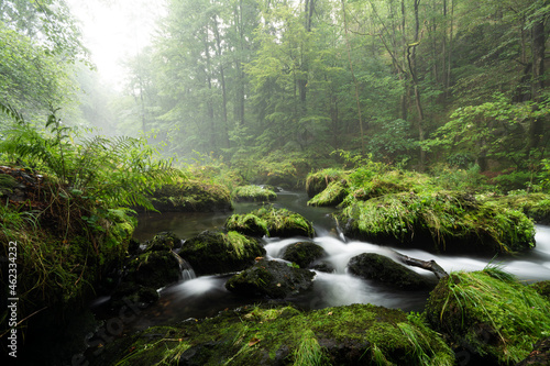smooth motion of wild water in a river in summer with rocks and stones in the beautiful nature of a forest - triebtal