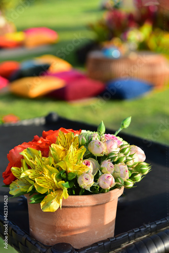 Wallpaper Mural pink and yellow flowers in garden, ornamental flowers Torontodigital.ca
