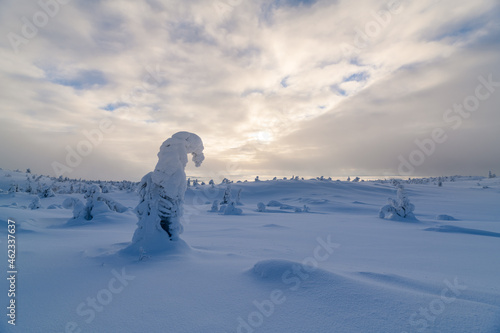 Russia s extreme cold regions  winter natural scenery  Arctic regions  snow-covered forests.