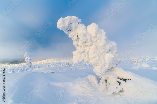 Russia's extreme cold regions, winter natural scenery, Arctic regions, snow-covered forests.