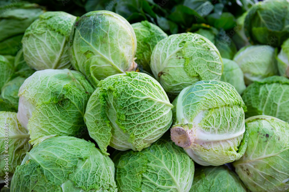 Fototapeta premium Image of fresh organic salad and cabbage in greengrocery shop