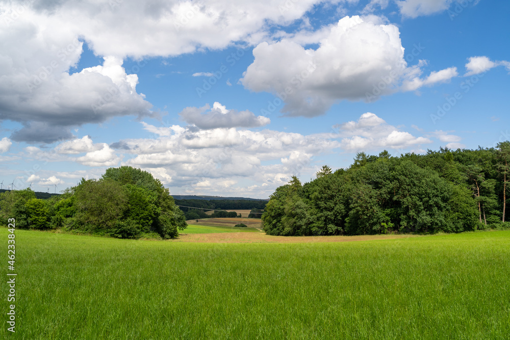 Beautiful landscape in summer with green grass, trees and blue cloudy sky Beautiful landscape in summer with green grass, trees and blue cloudy sky