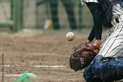 野球の試合中にピッチャーの投げた球を受けようとして体で球を止めるキャッチャー photo