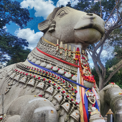Large Nandi bull statue at Chamundi hills in Mysore photo