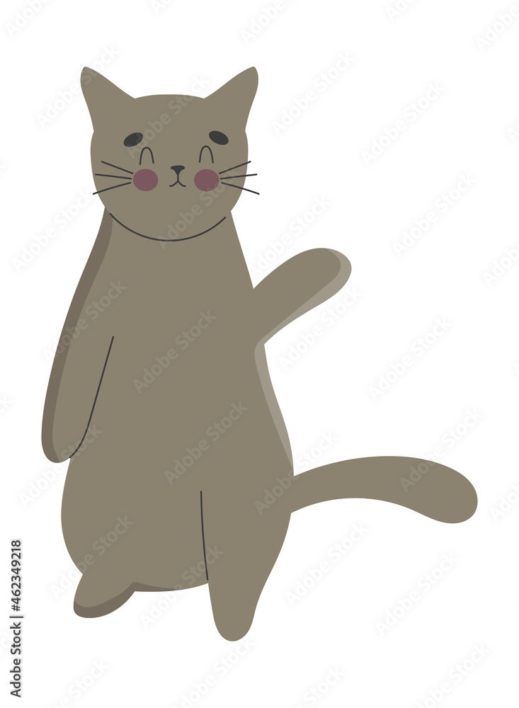 adorable gray cat adorable gray cat