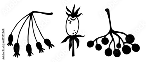 Garden berries vector set. Hand-drawn illustration isolated on white background. Rosehip, viburnum, mountain ash fruits. Collection of botanical sketches. Black silhouettes of autumn berries.